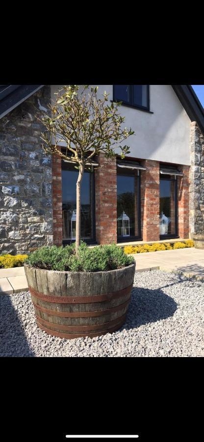 Y Bwythyn Villa Holywell  Exterior photo